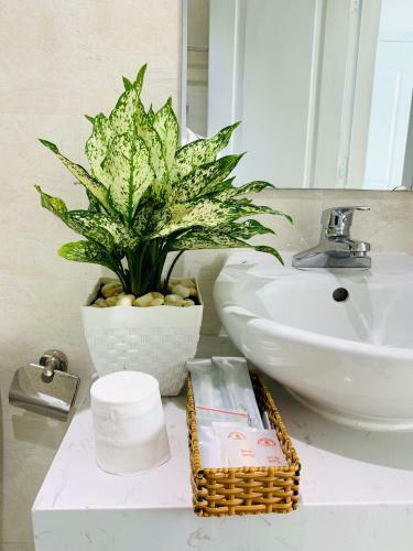 Nha Trang Ltd Seaview Apartment