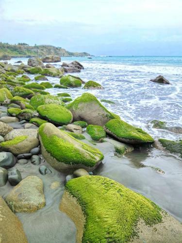 Amazing Taitung B&B