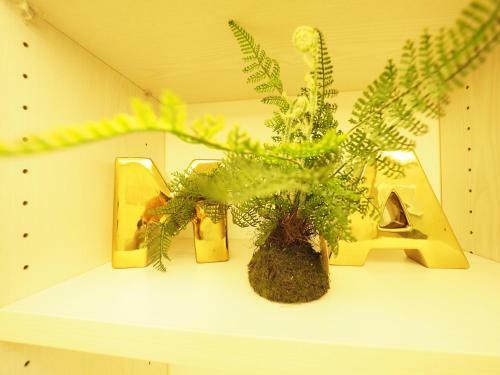 Apartamento Xinyi Anhemrt3min,cbd Garden View
