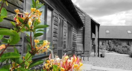 Apartamentos Elm Tree Farm