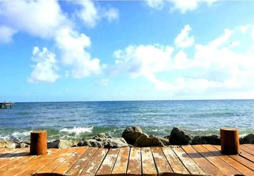 Villa Jaguar Beachfront Luxery Ph