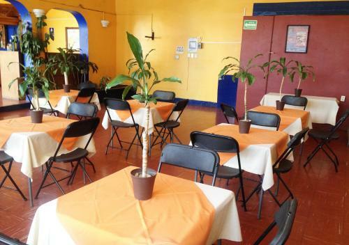 Hotel Arbol Grande