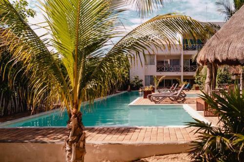 Luxury Condo, The Hidden Gem Playa Chac�. Live It!