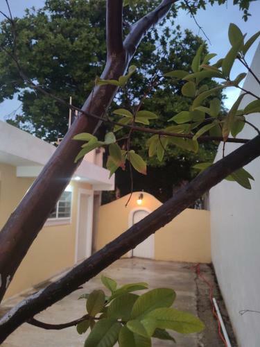 Apartamento Villas Arjona