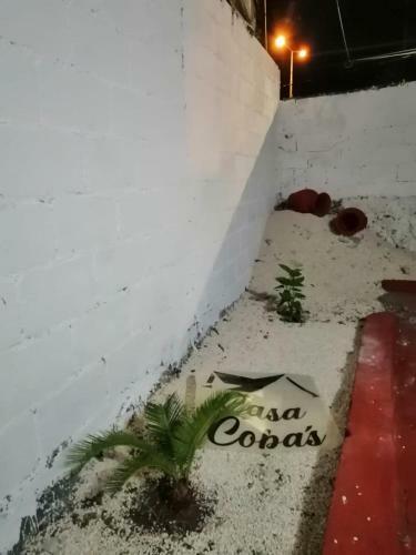 Apartamento Cobas Departamentos