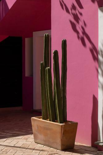 Apartamento Casa Rosamate