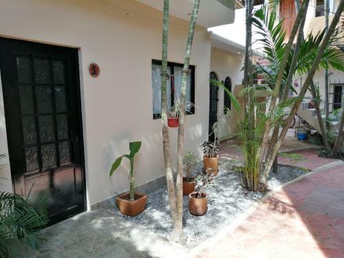 Posada Jard�n San Pancho