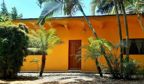 Casa Bamboo San Pancho