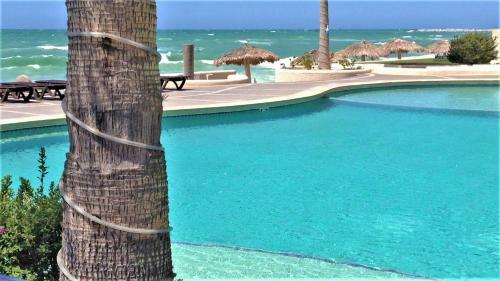 Apartamento Sonoran Sun 314-w - 1br 1ba