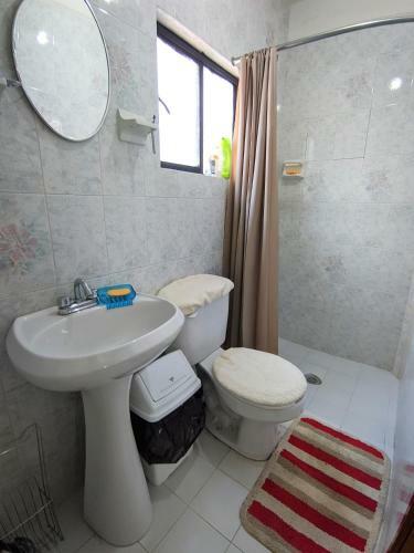Apartamento Depto. Amueblado San Cristobal (centro)