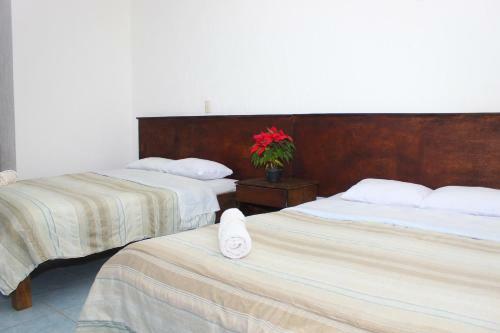 Hotel Panda Viajero