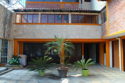 Hotel Panda Viajero