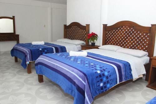 Hotel Panda Viajero