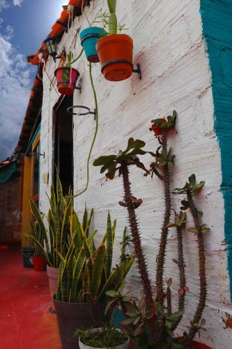 Albergue Hostal Casa Frida Pv