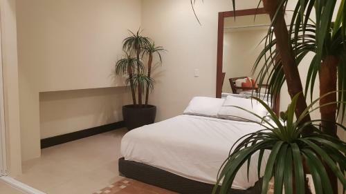 Apartamento Secret Paradise