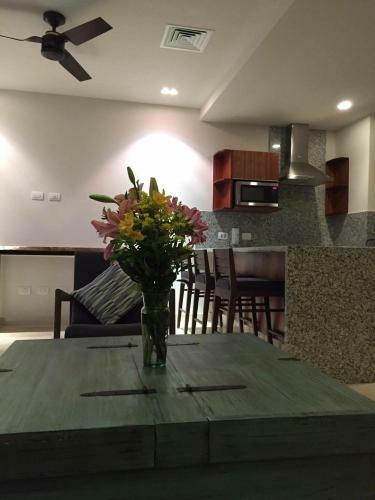 Apartamento Condominio Terrazas