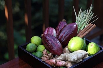Hotel Ubud Hanging Gardens