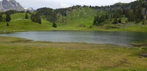 Apartamento Residenz Tirol