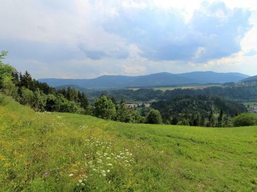 Apartamento Fewo Pl�sch Vlg. Maierhofer
