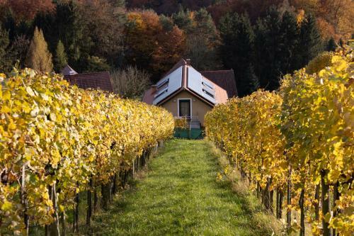 Weinberghaus Am Burgstallkogel
