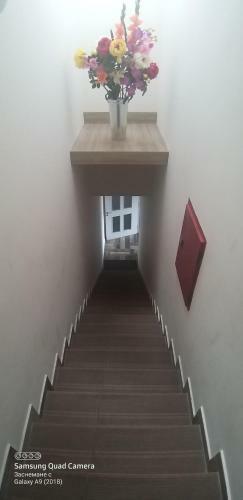 Apartments Diem
