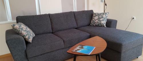 Sky Blue Danube Apartment Ruse