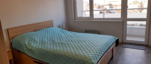 Sky Blue Danube Apartment Ruse