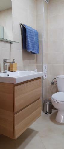 Sky Blue Danube Apartment Ruse