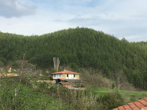 Agroturismo Ols Stead