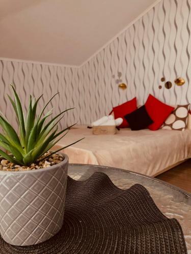 Hostal ???? ?? ????? Fantasy