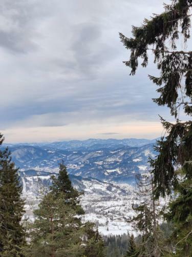 IV Apartment Inthe Wonderful Rhodope Mountain