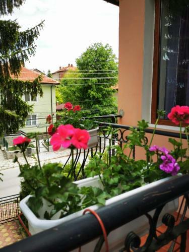 Hostal Casa Divna