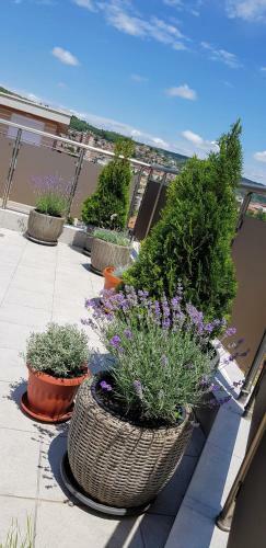 Apartamento The View Veliko Tarnovo