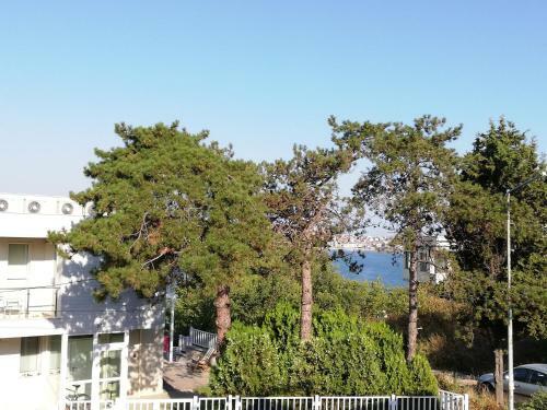 Sun And Sea Apartment