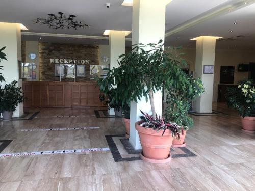 Santa Marina Apartment 11