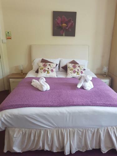 Hostal White House View Guest House