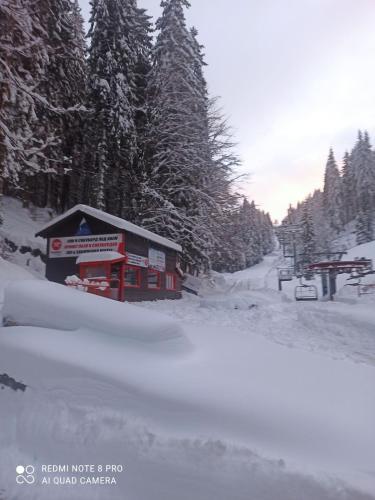 Apartamento Elizi Winter Hause Pamporovo/ ????? ????? ????. ?????????