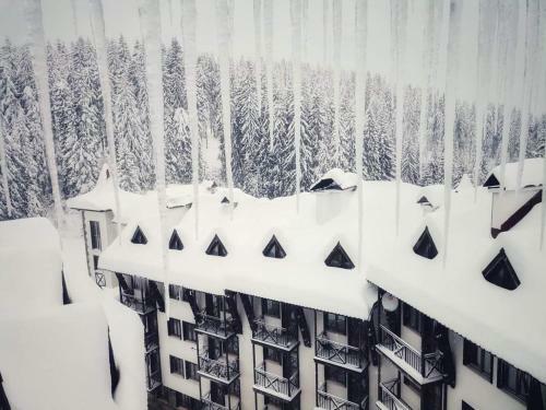 Apartamento The Castle 1522