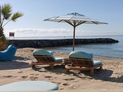 Beachfront Apartments By Marty's