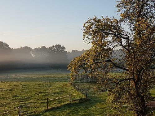 Bed & Breakfast 't Buitenverblijf Erve Punte