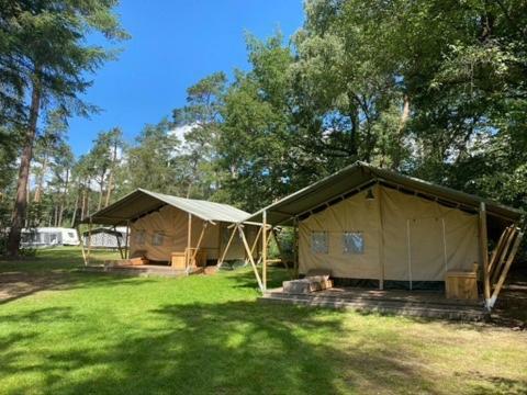 Glamping Safaritent Op Camping De Rimboe