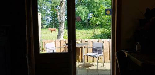 Rust En Stilte In De Natuur