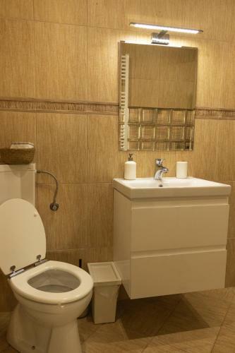 Fagaras Cosy Flat, King Bed & Double Sofa Bed Wifi