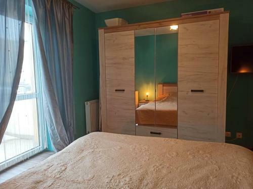 Apartament Chic In Fagaras