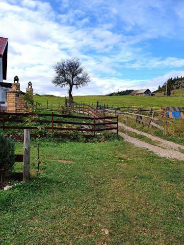Hostal Raiul Carpatin