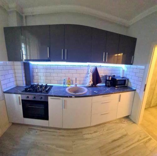 Apartament De Lux Cu Gradina