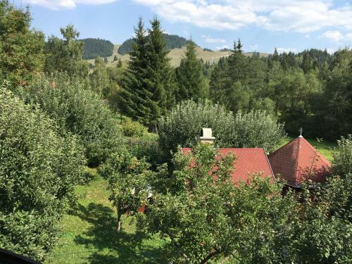 Hostal Pensiunea Gentiana
