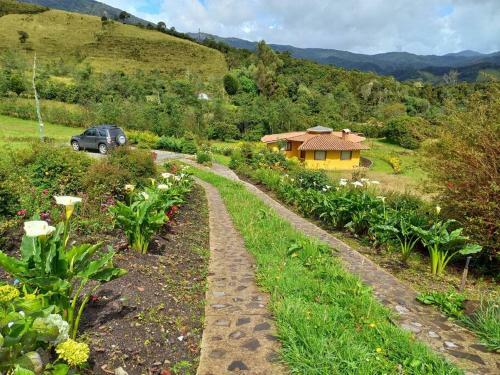 Caba�a Cedros De Buena Vista