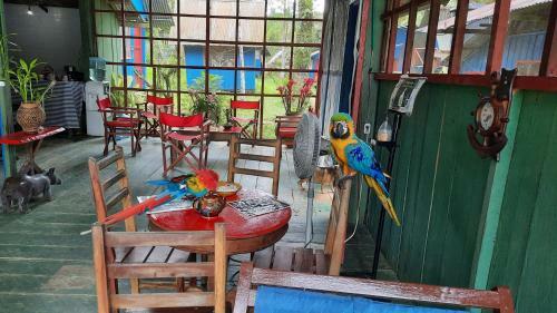 Hotel Caba�as Alto Del Aguila