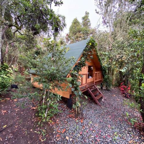 Glamping Pigmali�n Santa Elena